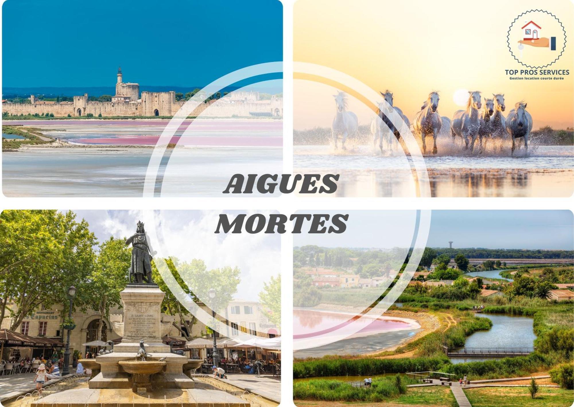 Les Marines Port 2 Min Plage Camargue- Top Pros Services Conciergerie La Grande Motte Mauguio Kültér fotó